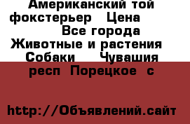 Американский той фокстерьер › Цена ­ 25 000 - Все города Животные и растения » Собаки   . Чувашия респ.,Порецкое. с.